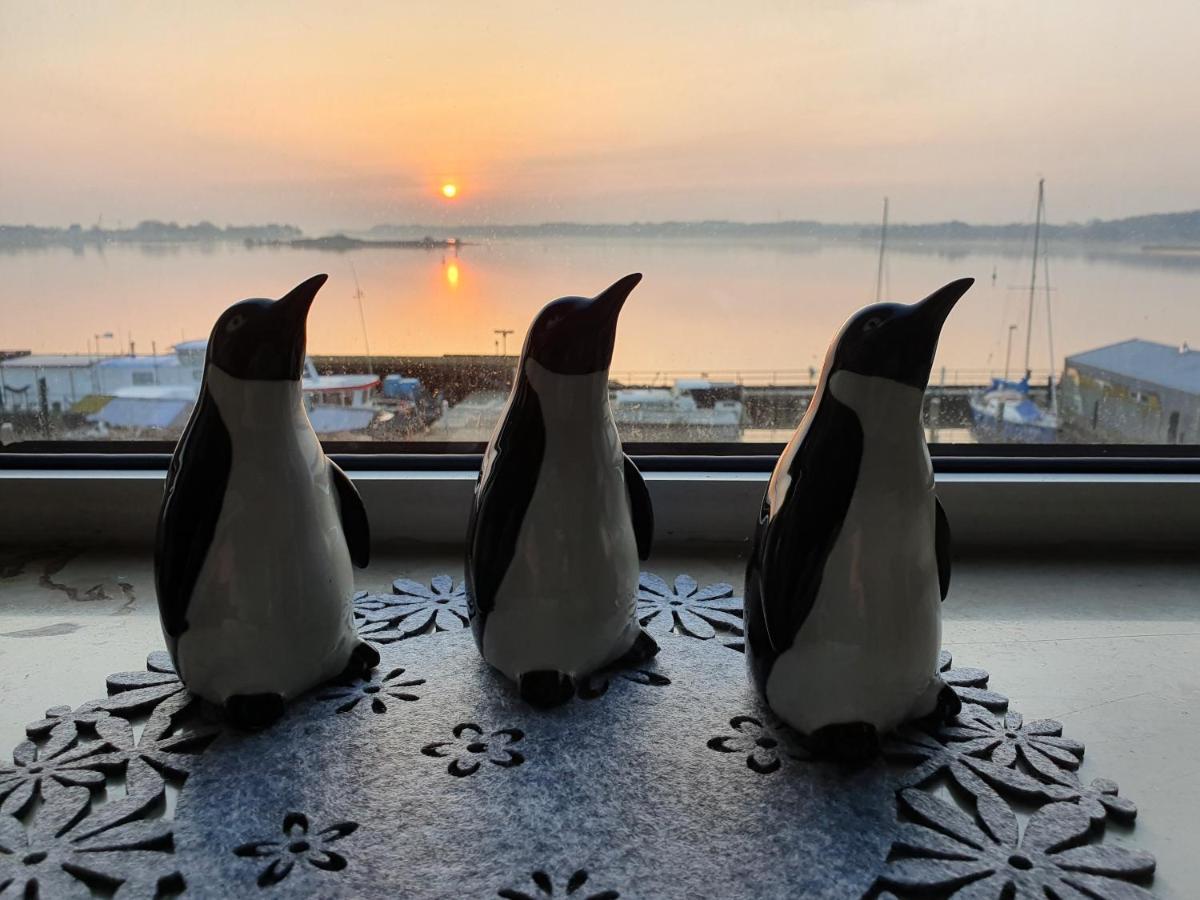 Ferienwohnung Schleiloge Mit Panoramablick Auf Die Schlei Schleswig Ngoại thất bức ảnh